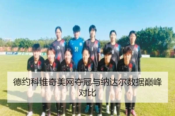 de-yue-ke-wei-qi-mei-wang-duo-guan-yu-na-da-er-shu-ju-dian-feng-dui-bi-2-506.jpg